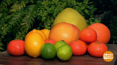 Цитрусовые: мандарины — самые новогодние! Доброе утро. Фрагмент