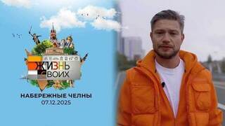 Набережные Челны. Жизнь своих