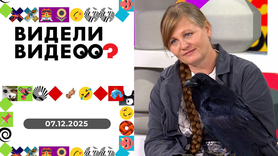 Видели видео? Выпуск от 07.12.2025