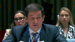 Европа торпедирует усилия России и США по урегулированию украинского кризиса, заявили в постпредстве РФ