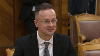 Ситуация вокруг Украины стала одной из тем встречи Сергея Лаврова и Петера Сийярто