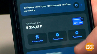 Электронный кошелек: а в него не залезут? Доброе утро. Фрагмент