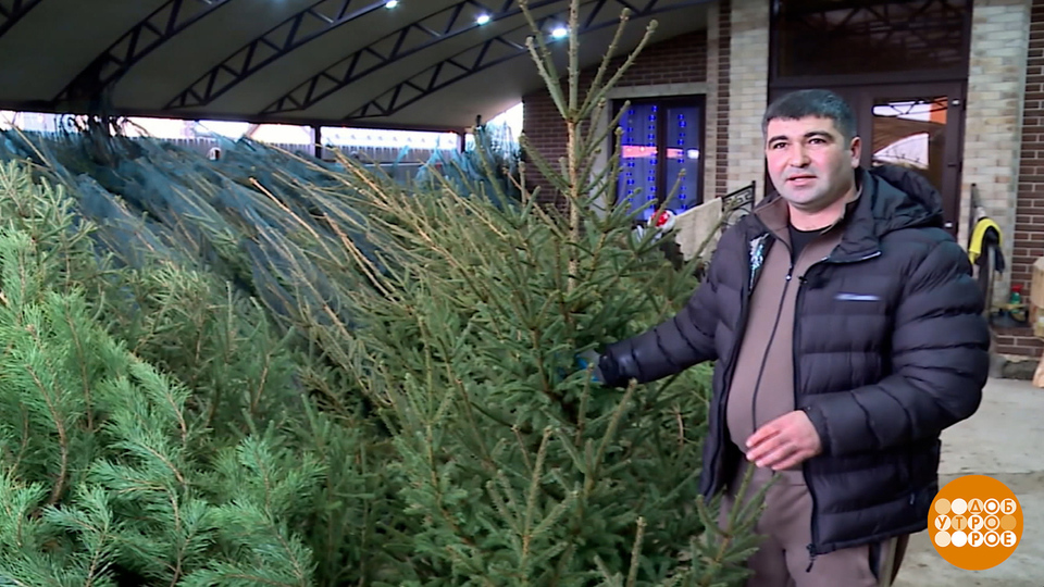 Елочка, тебя зарезервировали! Доброе утро. Фрагмент выпуска от 11.12.2025