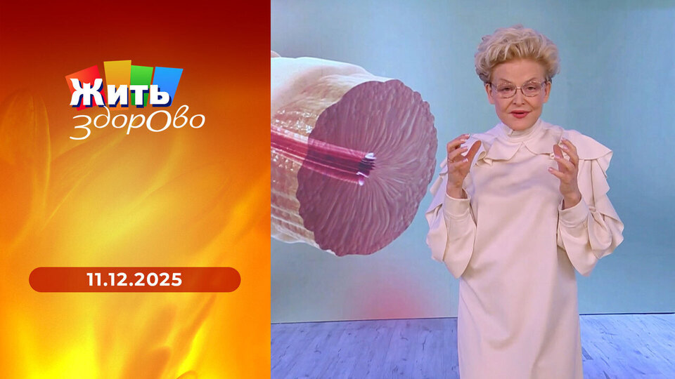 Жить здорово! Выпуск от 11.12.2025