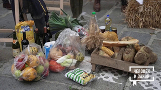 Видео недели: протест фермеров; бомж-вагоны; везучий лыжник. Человек и закон. Фрагмент 