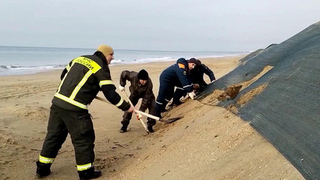 Собрано и утилизировано более 90% мазута, попавшего в Черное море год назад