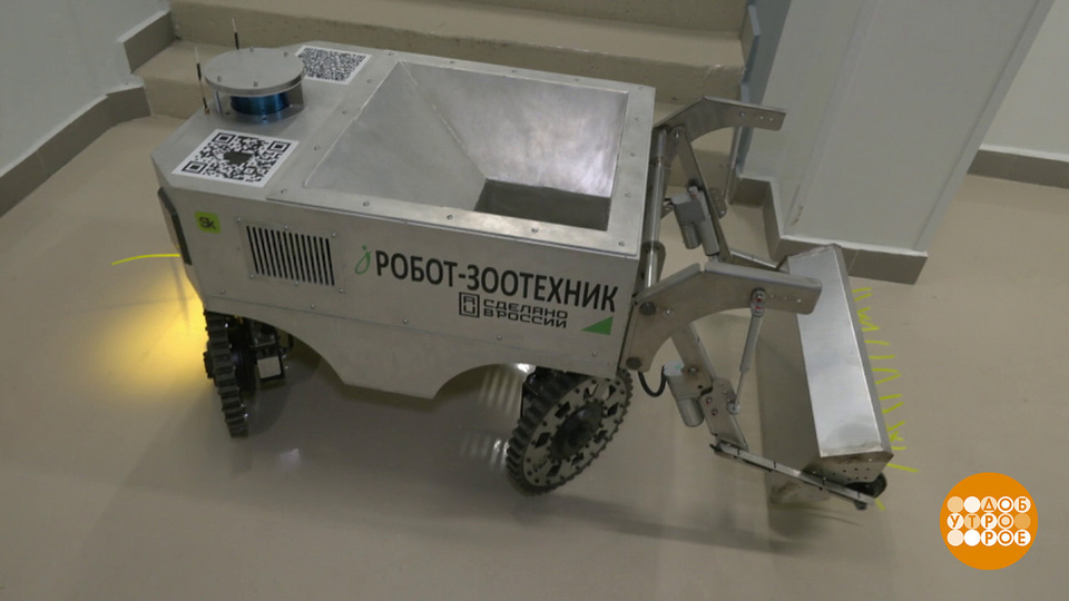 Робот, будешь зоотехником! Доброе утро. Фрагмент выпуска от 15.12.2025