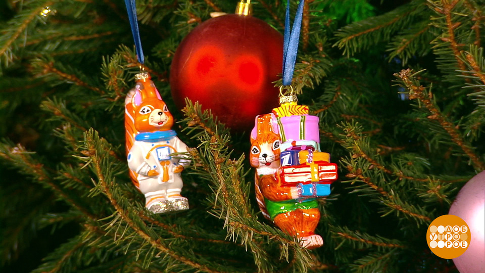 Где спряталась третья белка? Доброе утро. Фрагмент выпуска от 15.12.2025