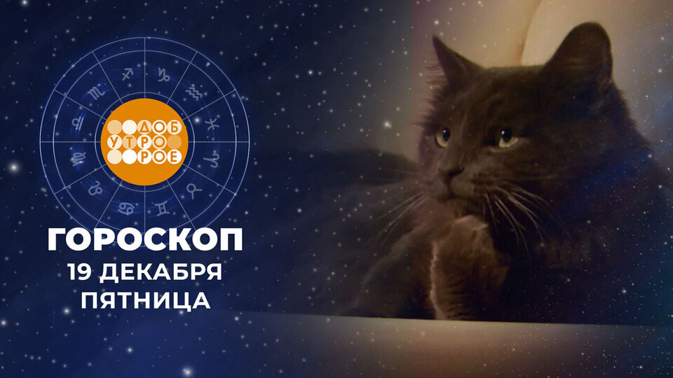 Гороскоп на 19 декабря. Доброе утро. Фрагмент выпуска от 19.12.2025