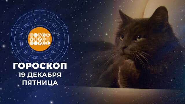 Гороскоп на 19 декабря. Доброе утро. Фрагмент 