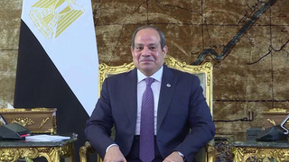 Сотрудничество Москвы и Каира обсудили Сергей Лавров и Абдель Фаттах ас-Сиси