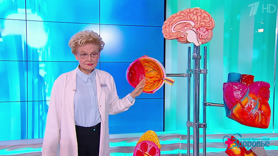 Холестерин: друг или враг? Здоровье. Фрагмент выпуска от 21.12.2025