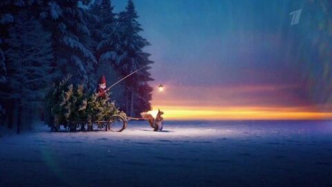 Новогодние белки и гномы. «За елкой!» Новый год с Первым