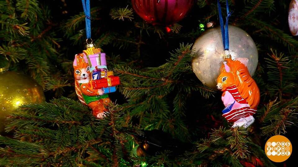 Кто поймает четвертую белку? Доброе утро. Фрагмент выпуска от 22.12.2025