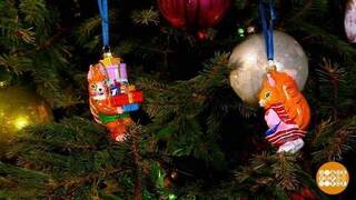 Кто поймает четвертую белку? Доброе утро. Фрагмен