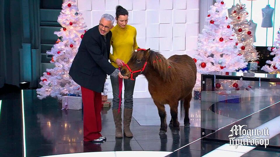 «Какой „плюшевый” Пион!“ Александр Рогов пришел в восторг от пони. Модный приговор. Фрагмент выпуска от 22.12.2025