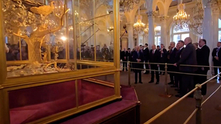 «Павлин» из Эрмитажа «запел» в неурочное время для лидеров стран СНГ: видео