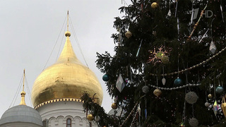 Главную елку страны на Соборной площади Кремля украсили к Новому году