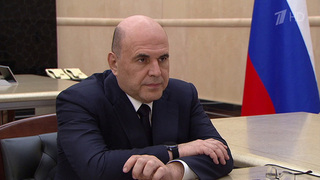 Михаил Мишустин поручил Росприроднадзору активнее внедрять информационные технологии