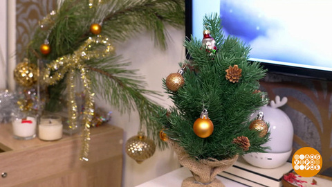 Елка: маленькая, да удаленькая! Доброе утро. Фрагмент 