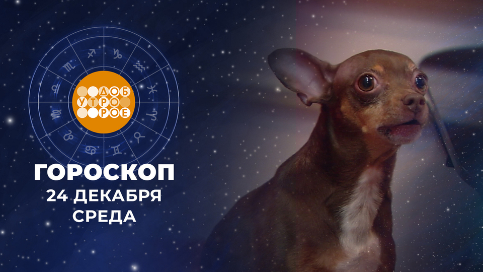Гороскоп на 24 декабря. Доброе утро. Фрагмент выпуска от 24.12.2025