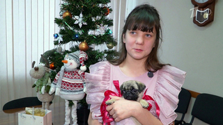 Девочка из Красноярского края получила в подарок от Владимира Путина мопса