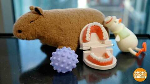 Стресс? Погладьте кого-нибудь пушистого! Доброе утро. Фрагмент 