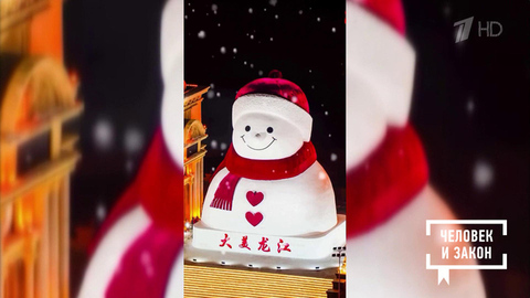 Видео недели: лебединая верность; умная елка; гигантский снеговик. Человек и закон. Фрагмент 