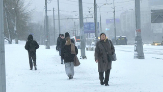 Примерно треть месячной нормы осадков выпала минувшей ночью в столичном регионе