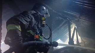 Истории подвигов спасателей в репортаже Первого канала