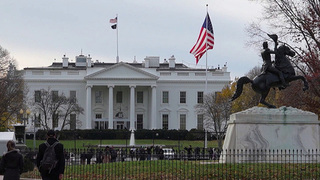 Белый дом подтвердил встречу Дональда Трампа с Владимиром Зеленским во Флориде