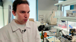 Российские ученые обучили компьютер определять качество игристого вина