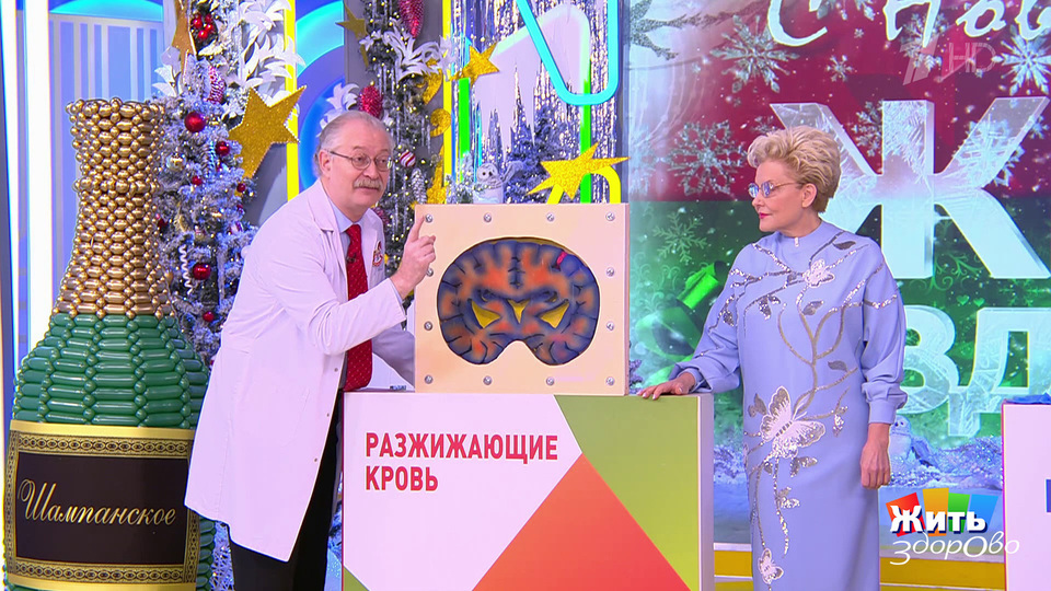 Алкоголь и таблетки: как не попасть в больницу на Новый год. Жить здорово! Фрагмент выпуска от 29.12.2025