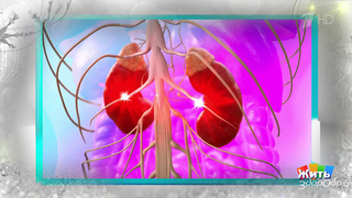 Почечная колика: что делать, пока не приехала скорая. Жить здорово! Фрагмент 