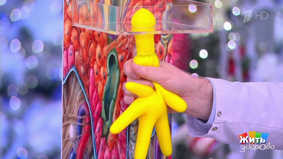 Избавиться от прыща за пять минут. Жить здорово! Фрагмент выпуска от 29.12.2025