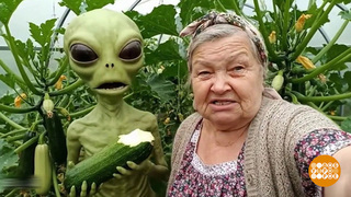 Итоги первой четверти. Века. Доброе утро. Фрагмент 