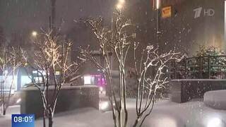 Машины под деревьями, снегопад и ветер: появились кадры обрушения стихии на Сочи