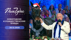 Новогодние и рождественские блюда. Поле чудес. Новогодний выпуск от 30.12.2025