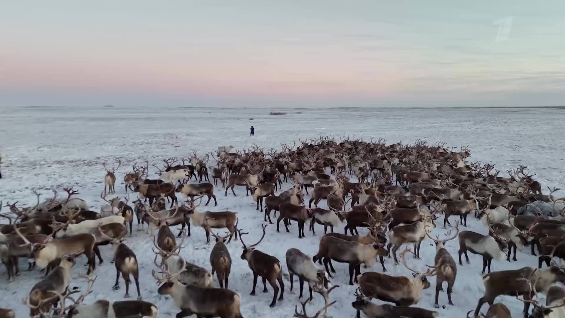 «Жизнь своих». Салехард