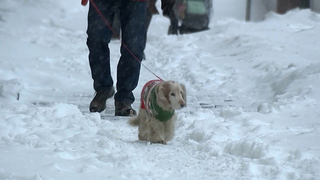 Под ударом стихии: появились кадры последствий обрушения снегопадов на регионы России