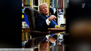 О Гренландии, перспективах НАТО без США и о том, что его может остановить: новые заявления Трампа