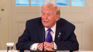 Трамп заявил, что не допустит соседства США с Россией или Китаем в Гренландии