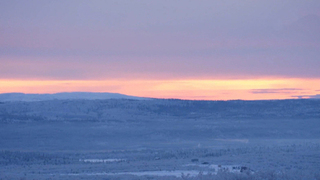 В Мурманске встретили первый рассвет после 40-дневной полярной ночи: видео