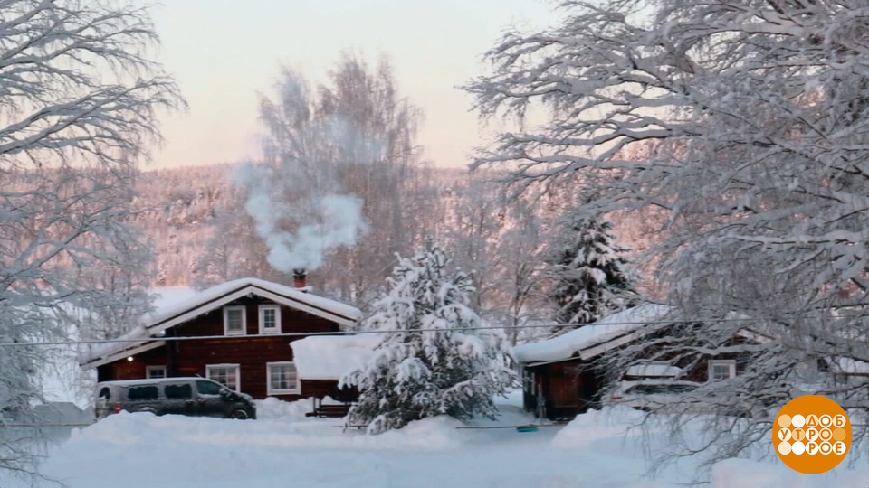 Дальше — больше! Света… Доброе утро. Фрагмент выпуска от 12.01.2026
