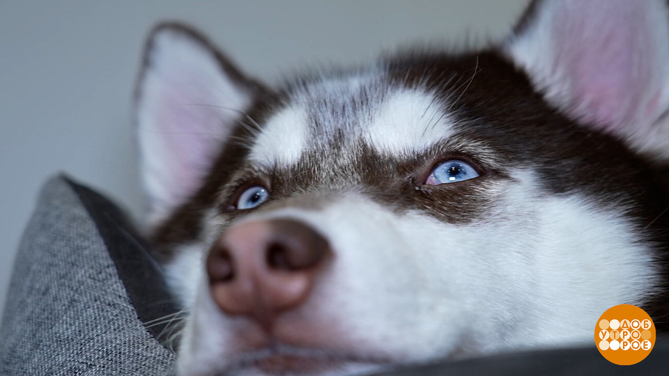 Включаем рабочий режим! Только без спешки… Доброе утро. Фрагмент выпуска от 12.01.2026