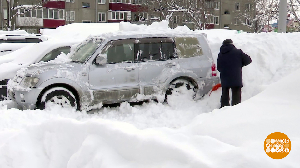 Январские снегопады: это по-нашему! Доброе утро. Фрагмент выпуска от 13.01.2026
