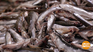 Шпроты — новогодняя классика. Доброе утро. Фрагмент 