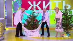 Уборка елки: удача по правилам. Жить здорово! Фрагмент 