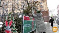 Елка — это вам не мусор! Доброе утро. Фрагмент 