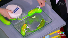 Анализы, которые не нужны. Жить здорово! Фрагмент 